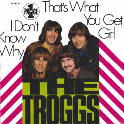 The Troggs : That's What You Get Girl